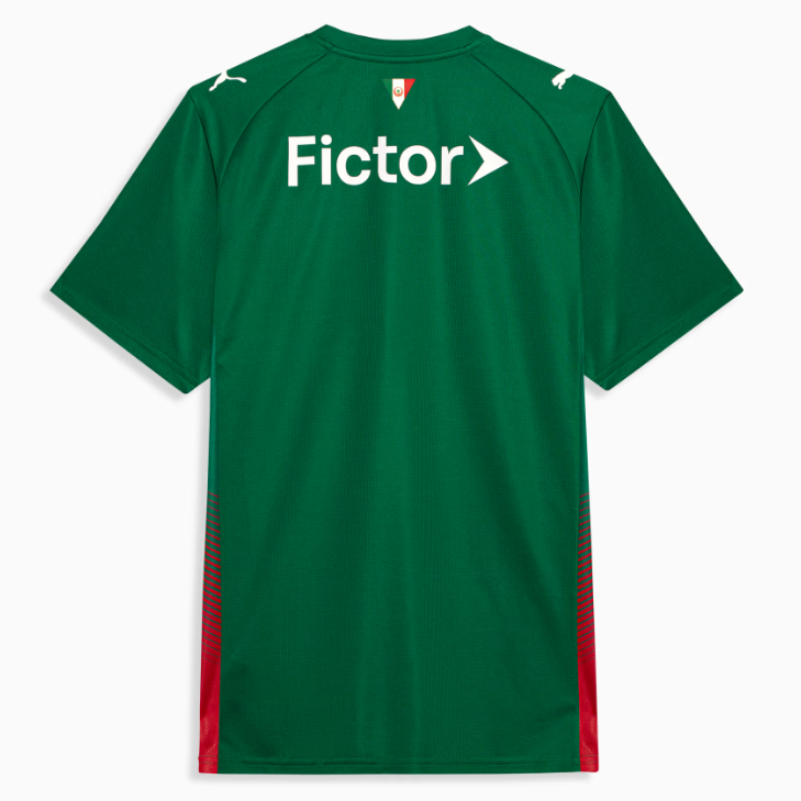 Futbalový Dres SE Palmeiras Domáci 2026/27 Pánsky 2 Futbalový Dres SE Palmeiras Domáci 2026/27 Pánsky Krátky Rukáv -1