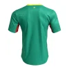 Futball-Dres Senegalu Außen-MSB 2026 Herren Futbalový dresy Senegal Vonkajší MS 2026 Pánsky – Bild 2