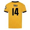 Fussballtrikots Wolves Tolu Arokodare #14 2025/26 Herren Heim Kurzarm